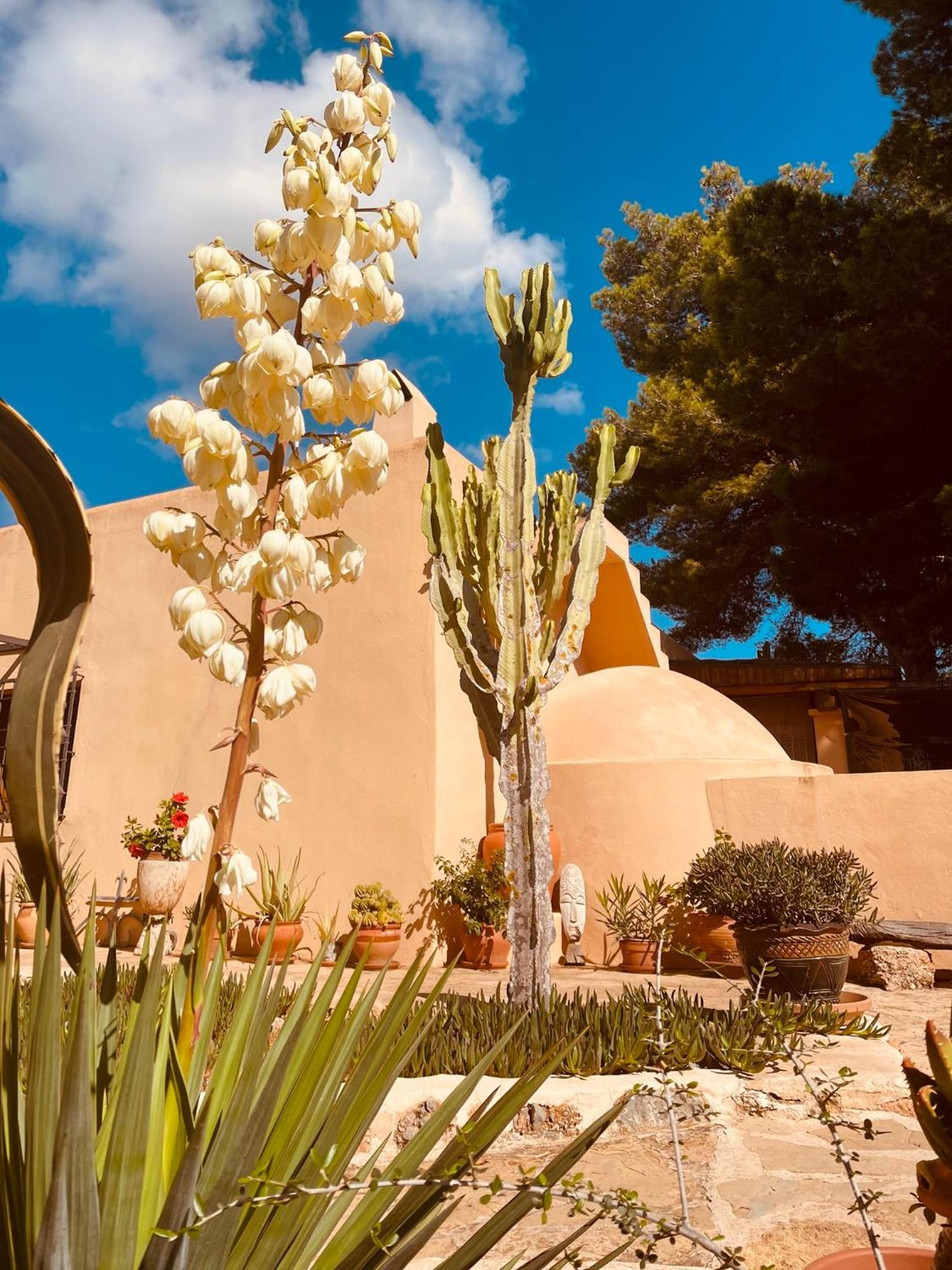Finca Can Toni Sant Jordi de ses Salines Ngoại thất bức ảnh